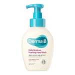 Daily Moisture Foaming Hand Wash by Derma: B