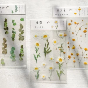Flower / Leaf PET Sticker by Hera's Place
