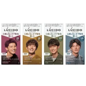 Lucido Design Hair Color by Mandom