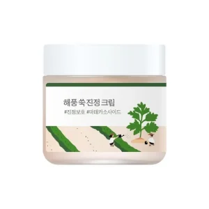 Mugwort Calming Cream by Round Lab