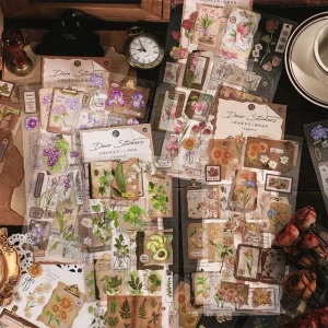 Plant PET Sticker (various designs) by OH.Leely