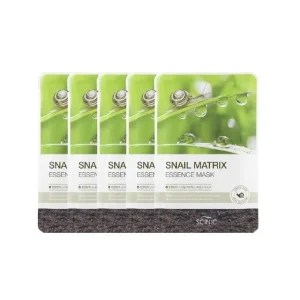 Snail Matrix Essence Mask Bundle Set by Scinic