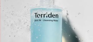 torriden